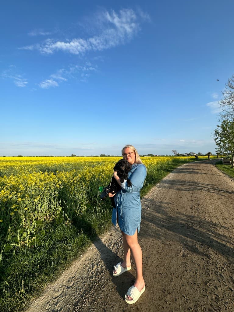 Rätter vi serverat på catering