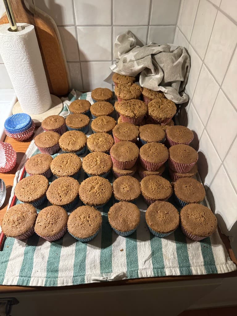 Rätter vi serverat på catering